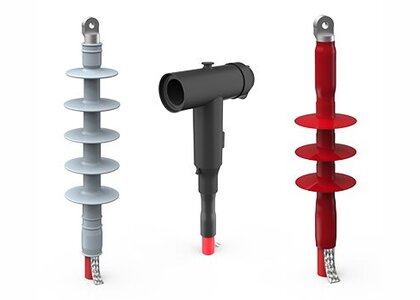 Bonomi